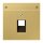 Jung ME2969-1NAUAC Abdeckung f. IAE/UAE-Anschlussdose (Messing) Messing Serie LS