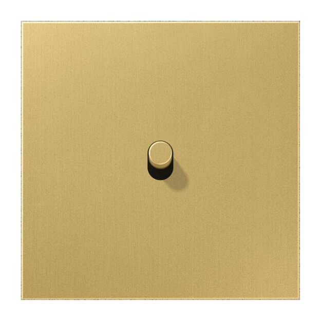 Jung ME12-0CR25 Abdeckung 1-fach mit 1 Kipphebel Messing Classic Serie LS 1912