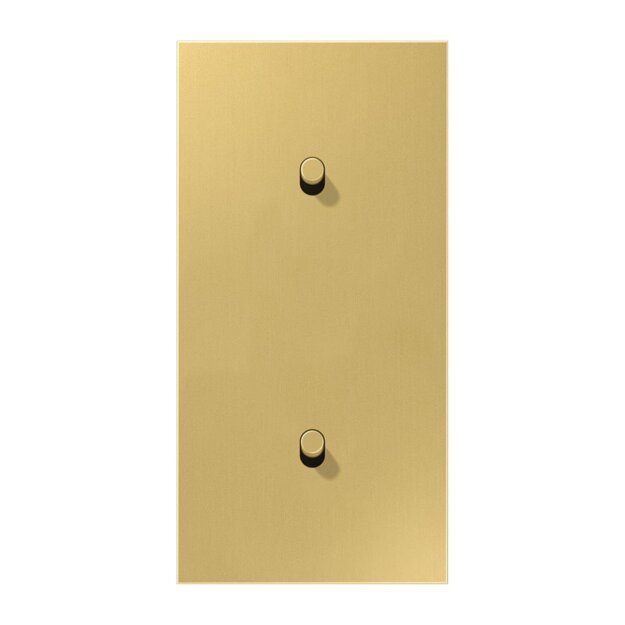 Jung ME12-20CR25 Abdeckung 2-fach senkrecht mit 1+1 Kipphebeln Messing Classic Serie LS 1912