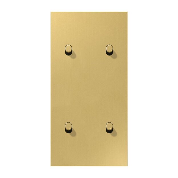 Jung ME12-25CR25 Abdeckung 2-fach senkrecht mit 2+2 Kipphebeln Messing Classic Serie LS 1912