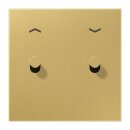 Jung ME12-5PCK25 Abdeckung 1-fach Pfeile mit 2 Kipphebeln...