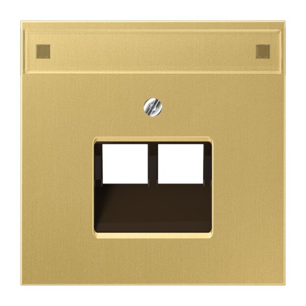 Jung ME2969-2NAUAC Abdeckung f. IAE/UAE-Anschlussdose (Messing) Messing Serie LS