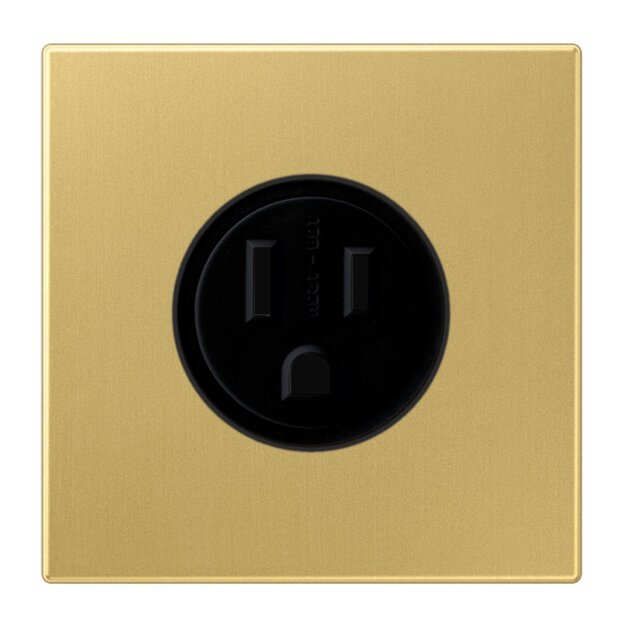 Jung ME2521-15C US-NEMA-Steckdose Messing Classic
