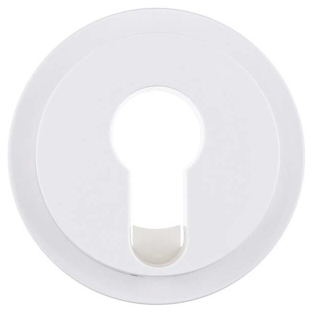 Berker 15072089 Zentralstück für Schlüsselschalter/-taster, R.1/R.3, Polarweiß Glänzend