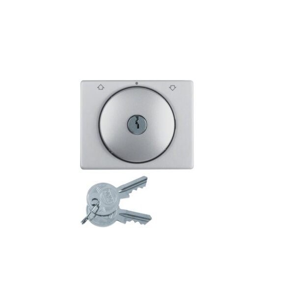 Berker 1079710300 Zentralstück mit Schloss für Jalousie-Schlüsselschalter K.5 Alu