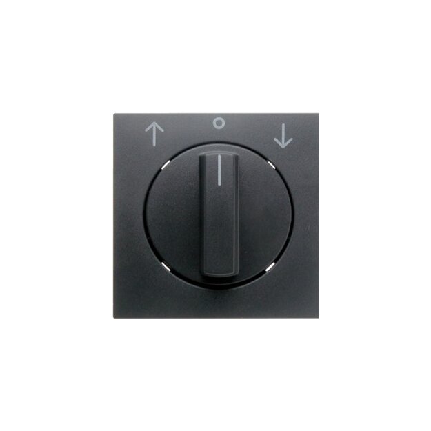 Berker 1080160600 Zentralstück mit Drehknopf für Jalousie-Drehschalter B.3/B.7 Anthrazit, Matt
