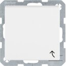 Berker 6765771909 Erdstift Steckdose mit Klappdeckel u...