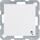 Berker 6765778989 Erdstift Steckdose mit Klappdeckel u...