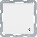 Berker 6768771909 Erdstift Steckdose mit Klappdeckel S.1...