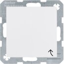 Berker 6768778989 Erdstift Steckdose mit Klappdeckel S.1...