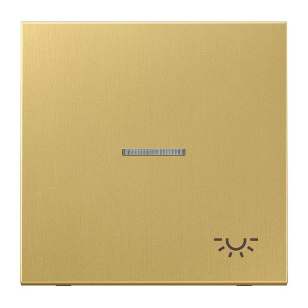 Jung ME2990KO5LC Wippe m. Symbol "Licht" KO (Messing) Messing Serie LS