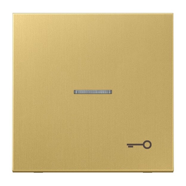 Jung ME2990KO5TC Wippe m. Symbol "Tuer" KO (Messing) Messing Serie LS