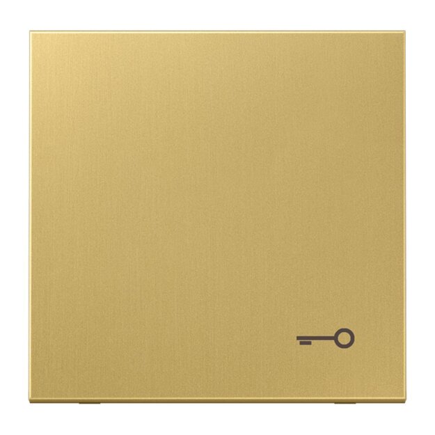 Jung ME2990TC Wippe m. Symbol "Tuer" (Messing) Messing Serie LS