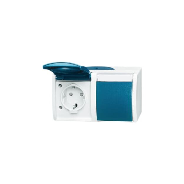 Busch-Jaeger 2300/2 EBW-53 Schuko® Doppelsteckdose Grau/Blaugrün 2CKA002084A0717