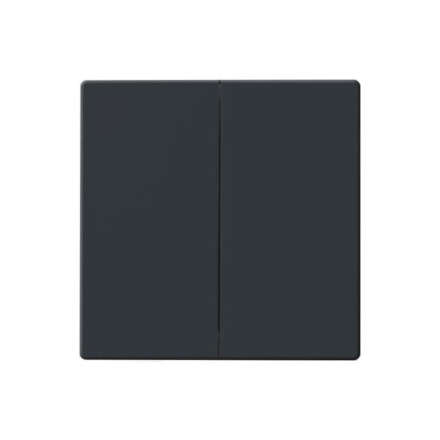 Busch-Jaeger 6736 FoH-81 FoH-Bedienelement 2fach Anthrazit 2CKA006730A0133
