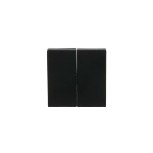 Busch-Jaeger 6736 FoH-885 FoH-Bedienelement 2fach Schwarz Matt 2CKA006730A0141