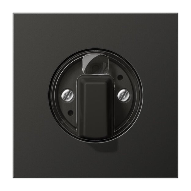 Jung AL1941AN Abdeckung f. Drehschalter (lackiertes Aluminium) Anthrazit Serie LS