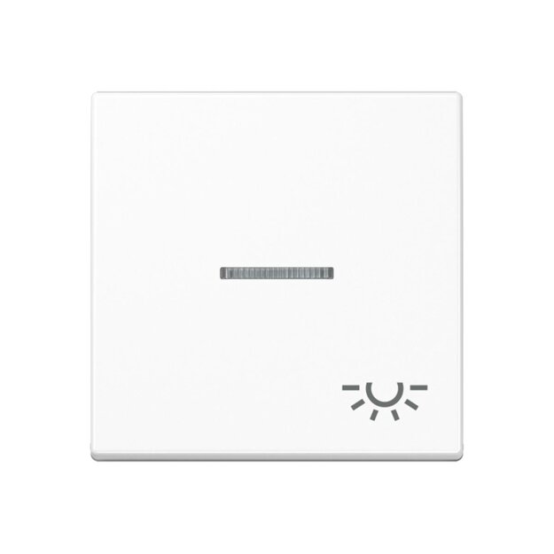 Jung A590BFKO5LWW Wippe m. Symbol "Licht" KO (Thermoplast bruchsicher) Alpinweiß Serie A