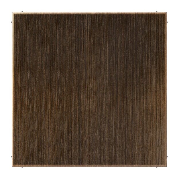 Jung ME2994BPLAT Blind-Abdeckung o. Tragring (Messing) Messing Antik Serie LS
