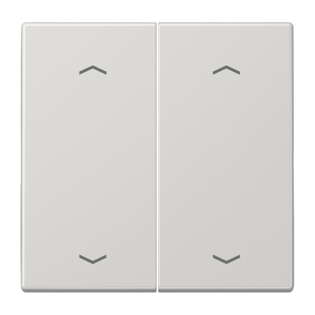 Jung LS995MPLG Wippe f. Taster BA 2fach Lichtgrau Serie LS
