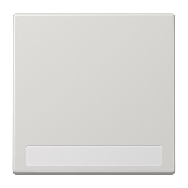 Jung LS990NALG Wippe f. Schalter/Taster NA Lichtgrau Serie LS