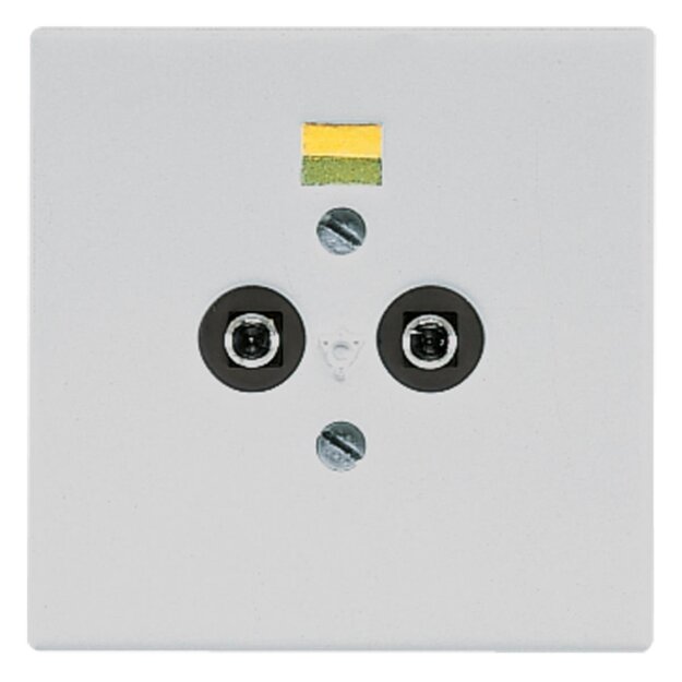 Jung LS965-2LG Potentialausgleich-Steckdose Lichtgrau Serie LS