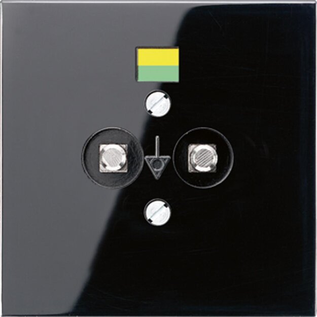 Jung LS965-2SW Potentialausgleich-Steckdose Schwarz Serie LS