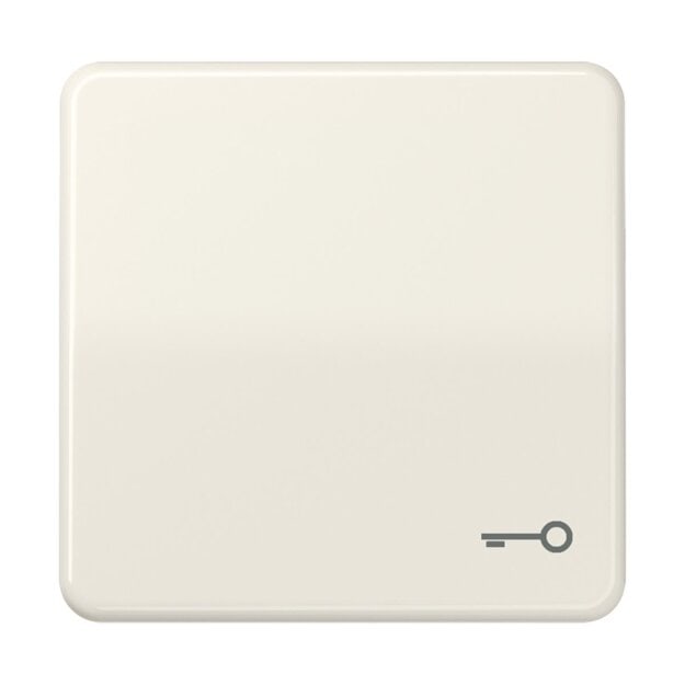 Jung CD590BFT Wippe m. Symbol "Tuer" (Thermoplast bruchsicher) Weiß Serie CD