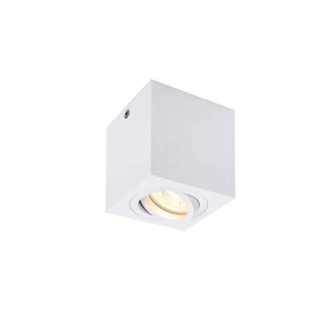 SLV 1002015 Triledo Single, Indoor Deckenaufbauleuchte, QPAR51, Weiß, ma 10W 8,5x8,5x9,5 cm