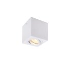 SLV 1002015 Triledo Single, Indoor Deckenaufbauleuchte,...