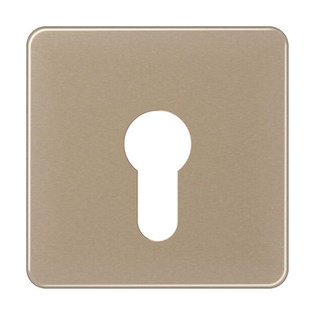 Jung CD525GB Abdeckung f. Schluesselschalter flach (Aluminium eloxiert) Gold-Bronze Serie CD