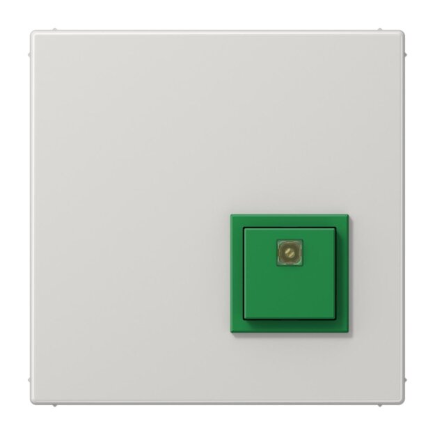 Jung NRSLS0834ATLG Abstelltaster (Thermoplast bruchsicher) Lichtgrau Serie LS