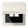 Jung CD590KLLAN Klappdeckel LAN mit Zentralplatte (Thermoplast bruchsicher) Weiß Serie CD