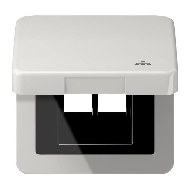 Jung CD590KLLANLG Klappdeckel LAN mit Zentralplatte (Thermoplast bruchsicher) Lichtgrau Serie CD