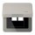 Jung CD590KLLANPT Klappdeckel LAN mit Zentralplatte (Aluminium eloxiert) Platin Serie CD