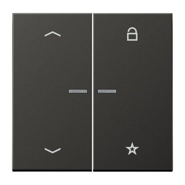 Jung FMAL1701PAN eNet Funk-Steuertaste Pfeile (lackiertes Aluminium) Anthrazit Serie LS