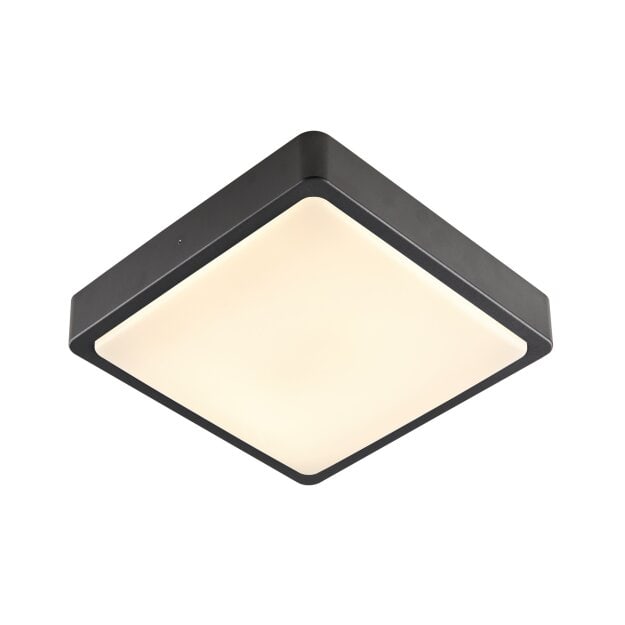 SLV 1003450 AINOS SQUARE CW anthrazit CCT
