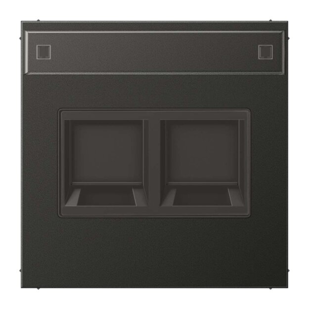 Jung AL1969-25NAWEAN Abdeckung f. Modular-Jack 2fach NA WE (TE-conne.) (lackiertes Aluminium) Anthrazit Serie LS