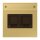 Jung ME1969-25NAWEC Abdeckung f. Modular-Jack 2fach NA WE (TE-conne.) (Messing Classic) Serie LS