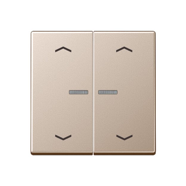 Jung A102KO5PCH Wippe für Serientaster Lichtleiter Pfeile (Duroplast lackiert) Champagner Serie A
