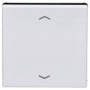 Jung A1700BFPWWM Steuertaste Standard Pfeile (Thermoplast...