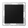 Jung A594-0SWM Blind-Abdeckung (Thermoplast bruchsicher) Graphitschwarz Matt Serie A