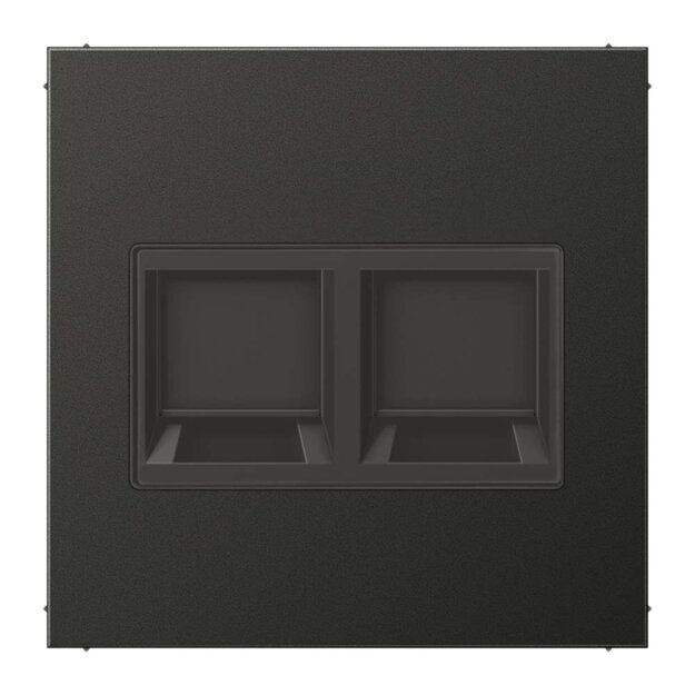 Jung AL1969-2WEAN Abdeckung f. Modular-Jack 2fach WE (AMP, Radiall) (lackiertes Aluminium) Anthrazit Serie LS