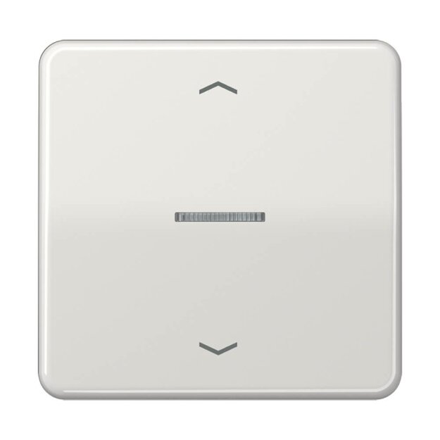Jung CD101KO5PLG Wippe für Taster Lichtleiter Pfeile (Duroplast) Lichtgrau Serie CD