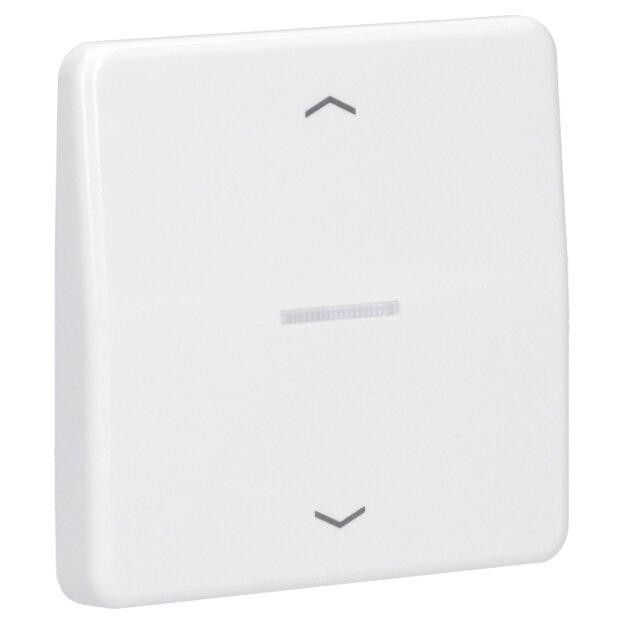 Jung CD101KO5PWW Wippe für Taster Lichtleiter Pfeile (Duroplast) Alpinweiß Serie CD