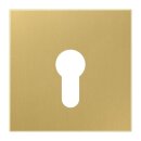 Jung ME2925C Abdeckung f. Schluesselschalter (Messing)...