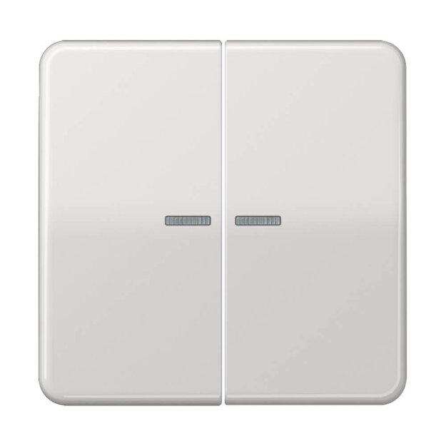Jung CD102KO5LG Wippe für Serientaster Lichtleiter (Duroplast) Lichtgrau Serie CD