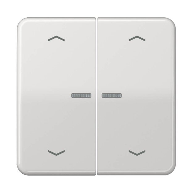 Jung CD102KO5PLG Wippe für Serientaster Lichtleiter Pfeile (Duroplast) Lichtgrau Serie CD