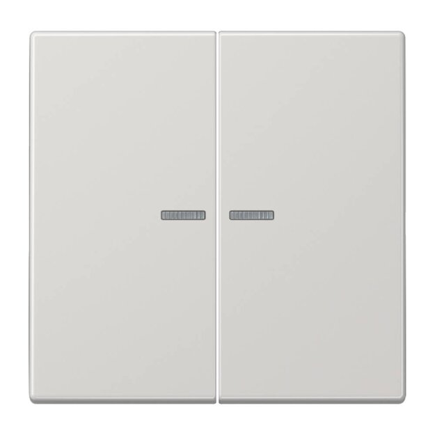 Jung LS102KO5LG Wippe für Serientaster Lichtleiter (Duroplast) Lichtgrau Serie LS