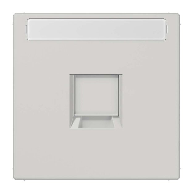 Jung LS1969-1NAWELG Abdeckung f. Modular-Jack 1fach NA WE (AMP, Rad.) (Thermoplast bruchsicher) Lichtgrau Serie LS